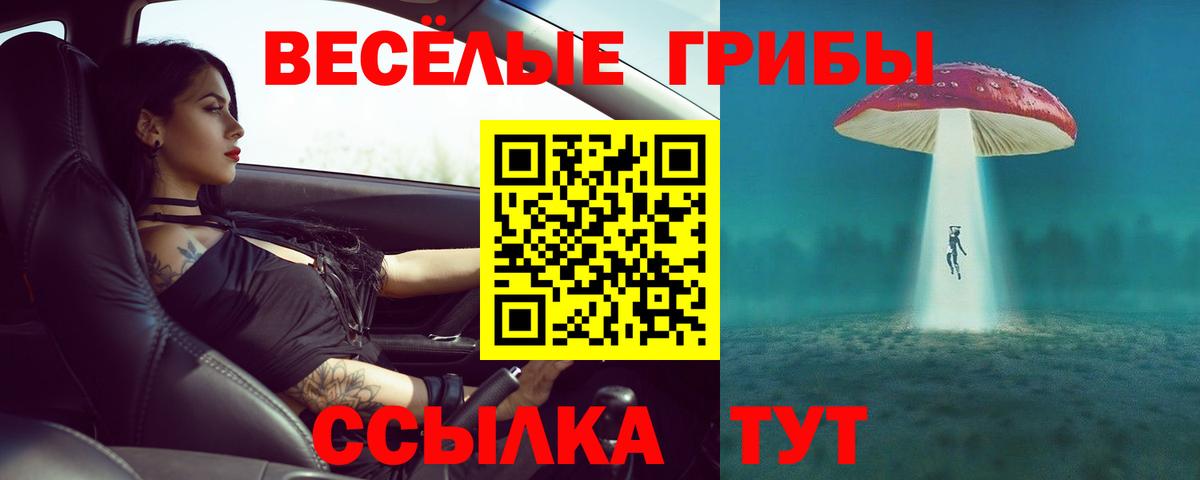 Чусовой  купить   Вход с VPN  Псилоцибиновые грибы мухоморы 